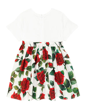 
  
    Dolce
  
    &
  
    Gabbana
  
 Girls Red/White Rose Print Dress