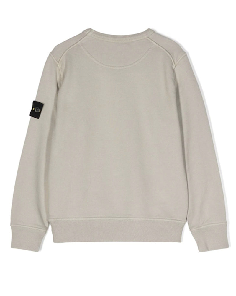 Boys Grey Sweatshirt