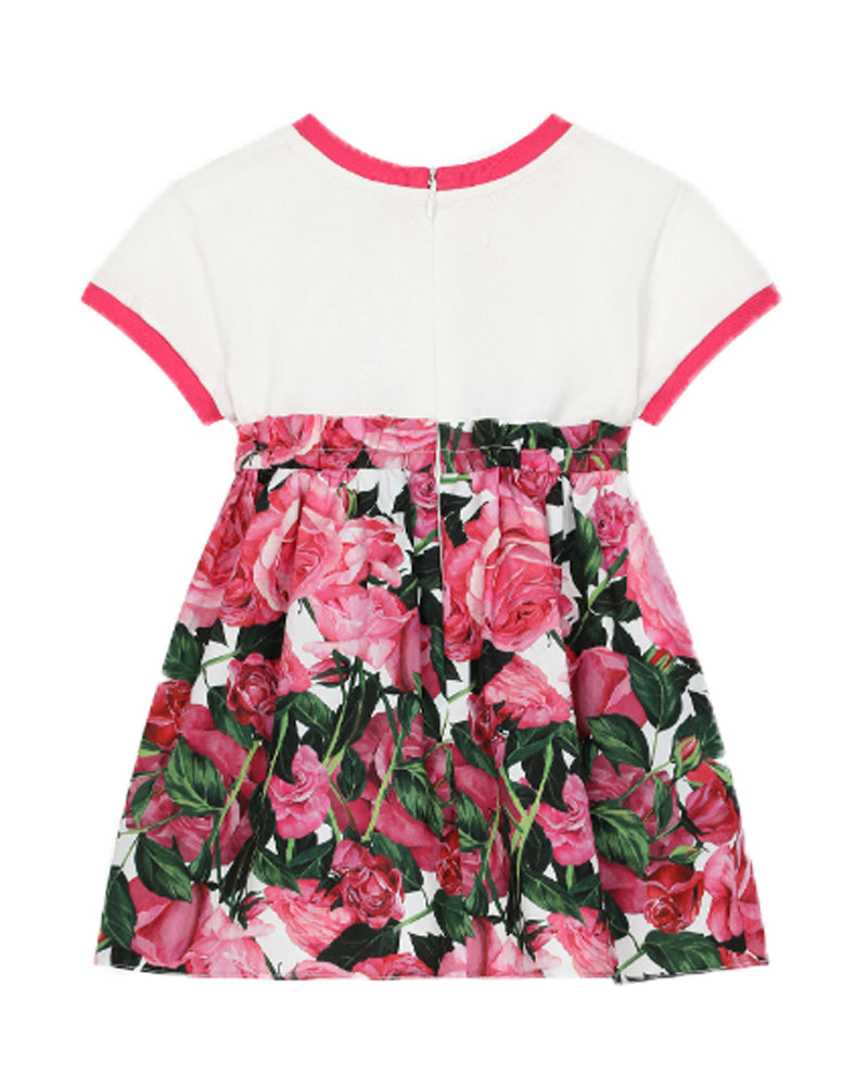 Baby Girls Rose Print Floral Dress