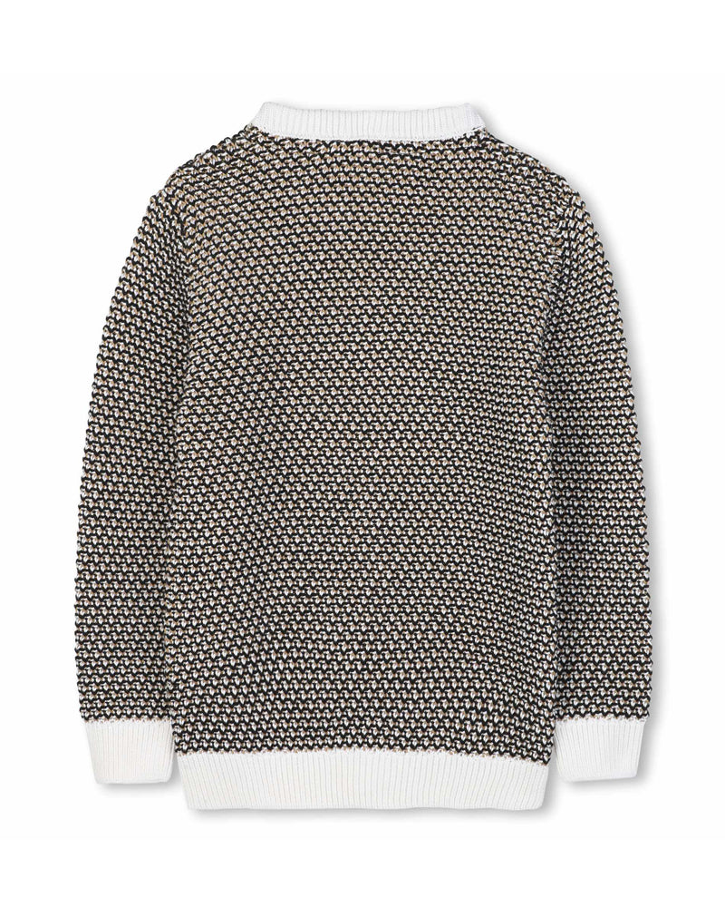 Boys Multi/Print Knit Sweater