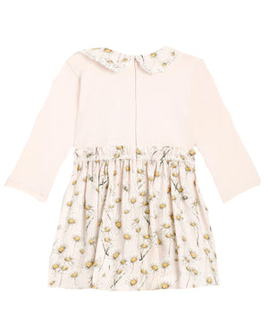 
  
    Dolce
  
    &
  
    Gabbana
  
 Baby Girls Ivory Daisy Dress