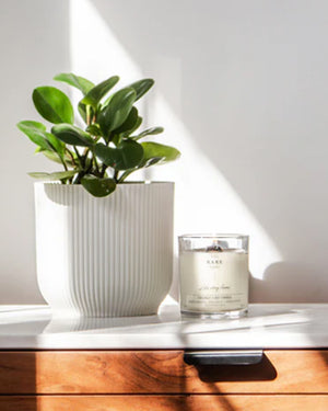
  
    The
  
    Bare
  
    Home
  
 About That Summer Day Candle - Lavender + Sage