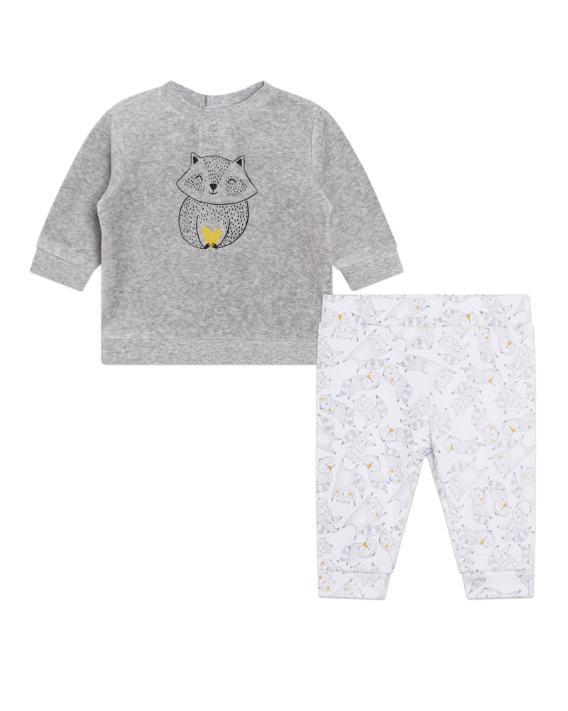 Baby Boys Grey Velvet Outfit Set