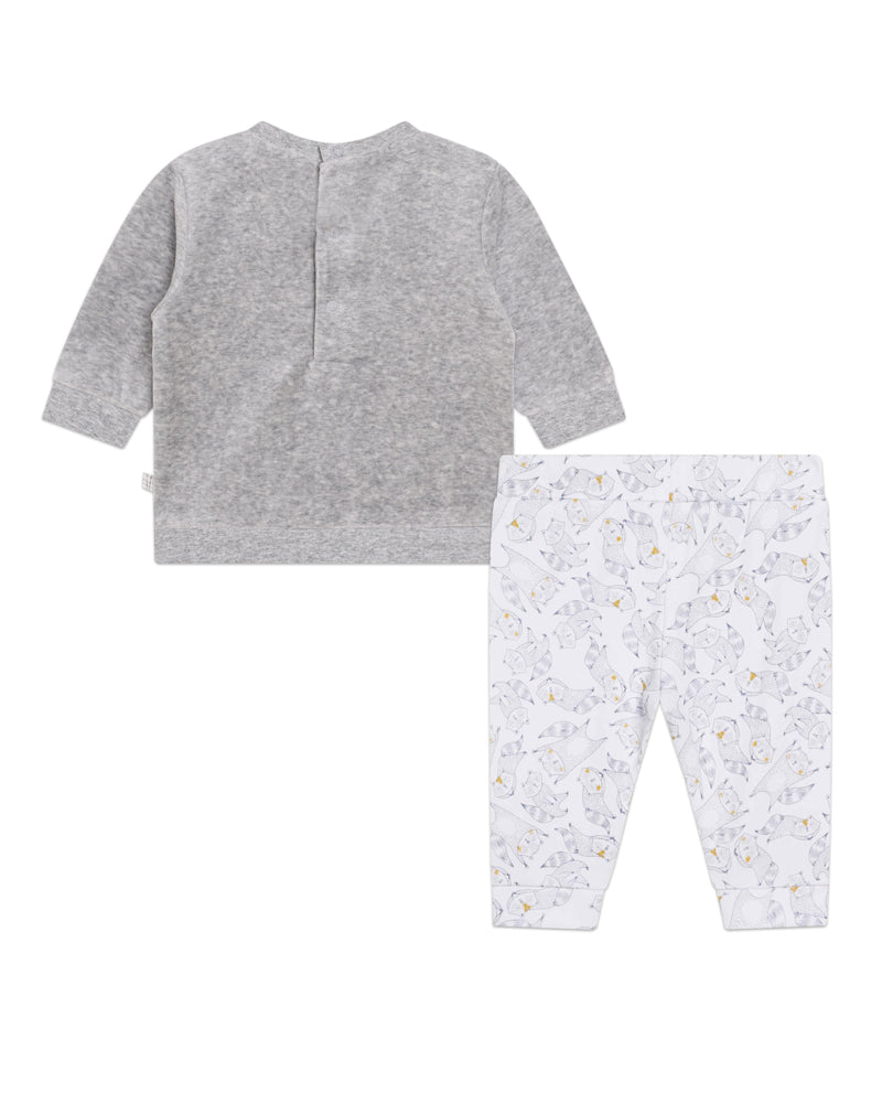 Baby Boys Grey Velvet Outfit Set