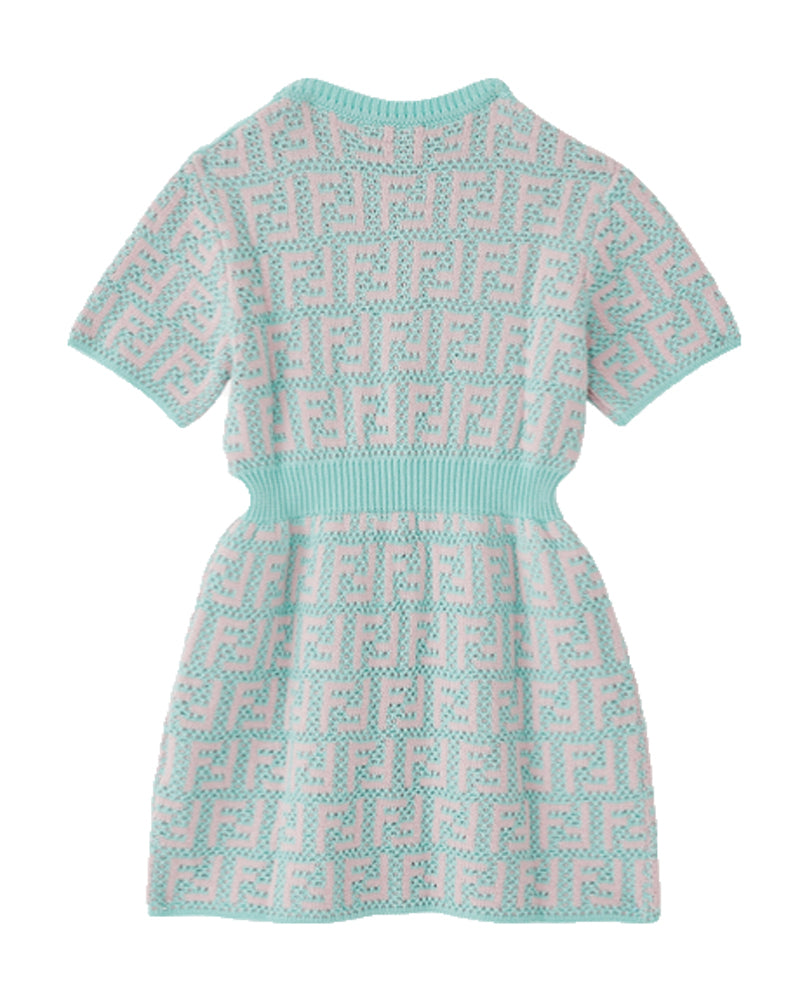 Baby Girls Blue/Pink Knit FF Dress