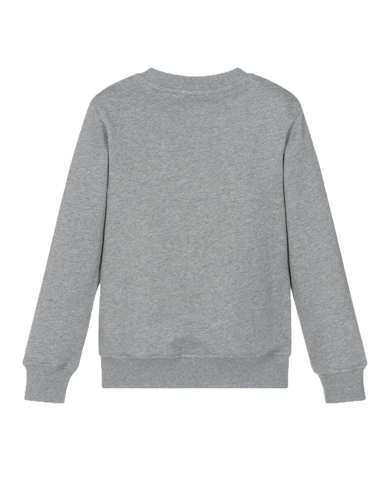 Boys Grey Sweatshirt