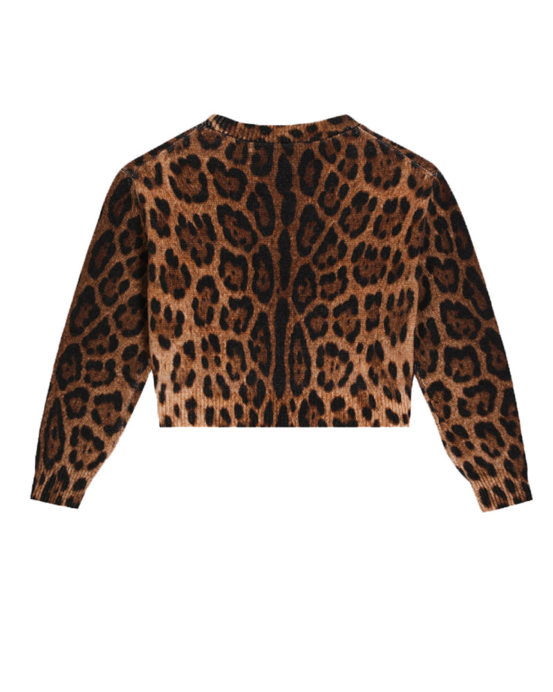 
  
    Dolce
  
    &
  
    Gabbana
  
 Girls Brown Leopard Pullover