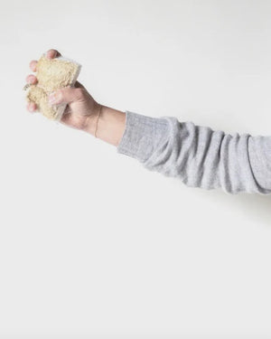 
  
    The
  
    Bare
  
    Home
  
 Cellulose + Loofah Sponge