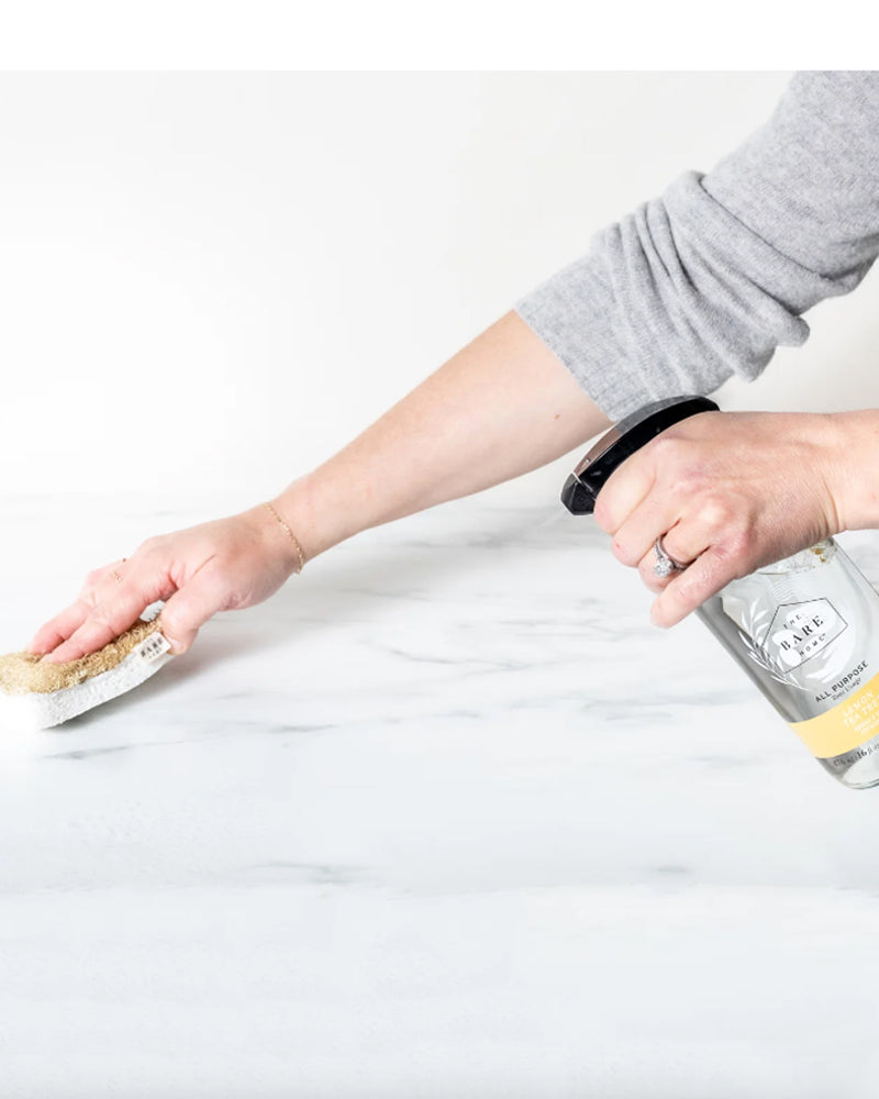 
  
    The
  
    Bare
  
    Home
  
 Cellulose + Loofah Sponge