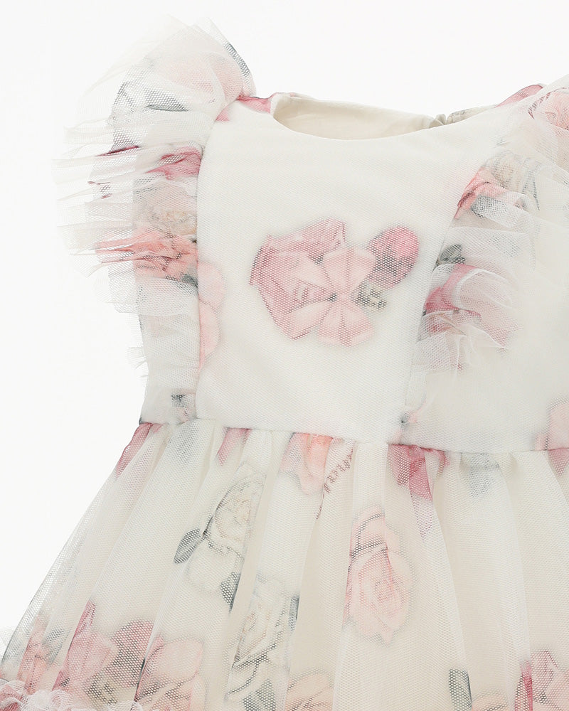 Baby Girls Multi/Print Dress