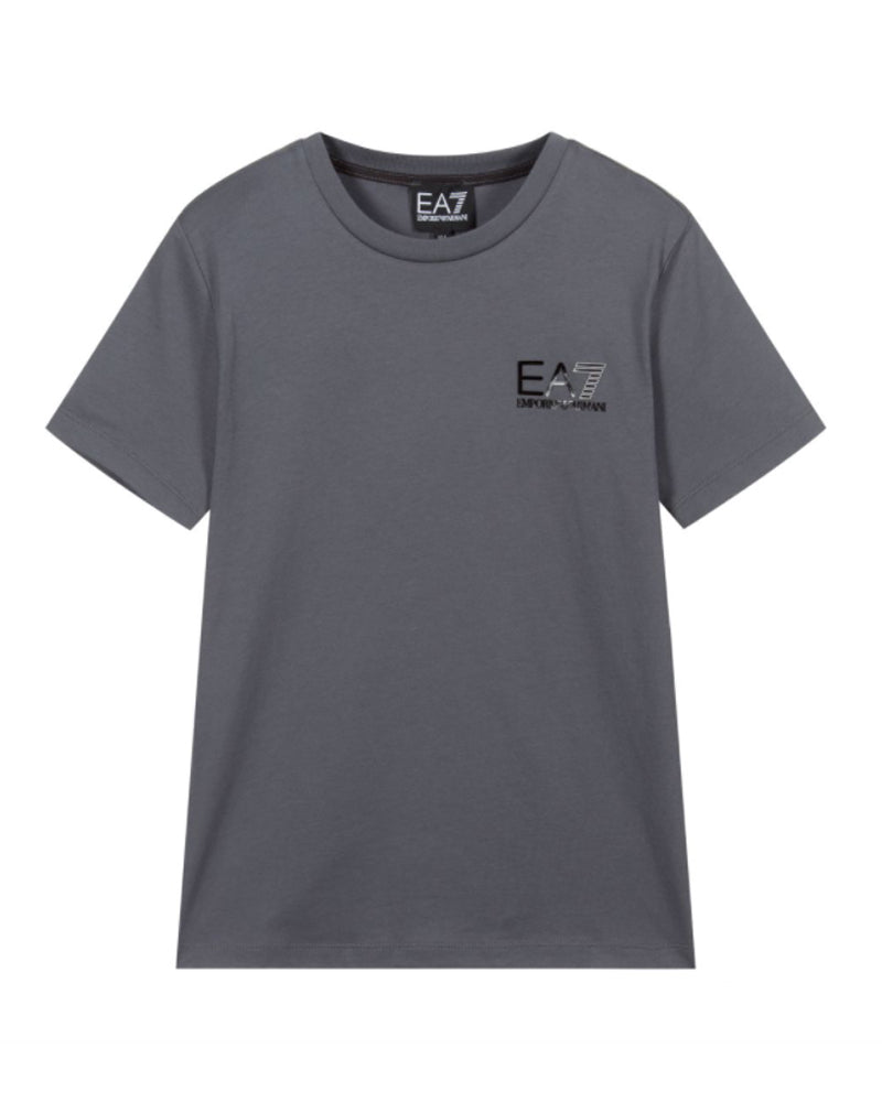 Boys Grey T-Shirt