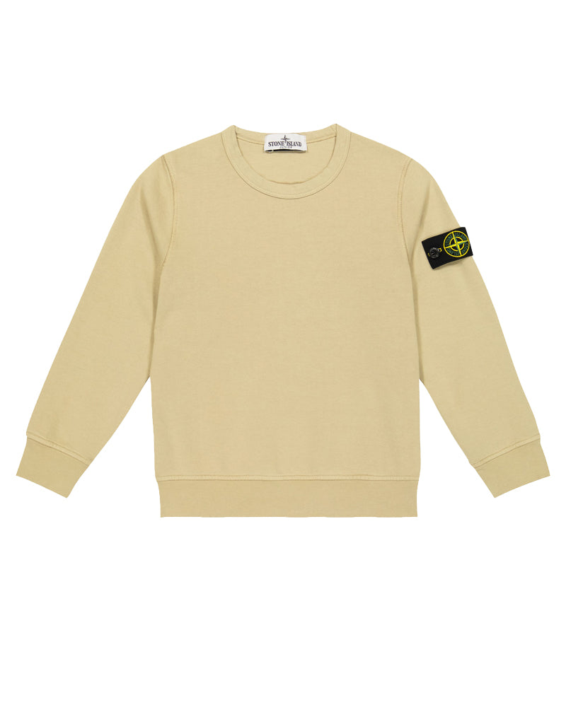 Boys Beige Sweatshirt